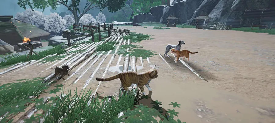 Cats and dogs moving across a courtyard path.