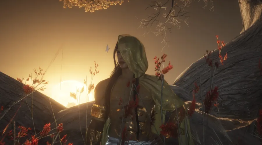 Green-cloaked figure in warm sunlight.