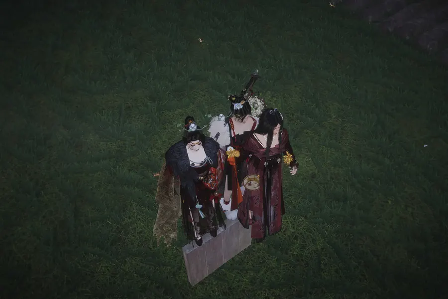 Small group of figures standing close together in dark grass.
